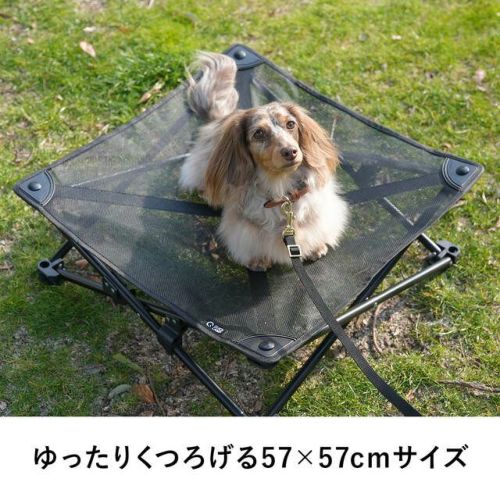 クイックキャンプ（QUICKCAMP） 犬用ベッド ドッグコット メッシュ