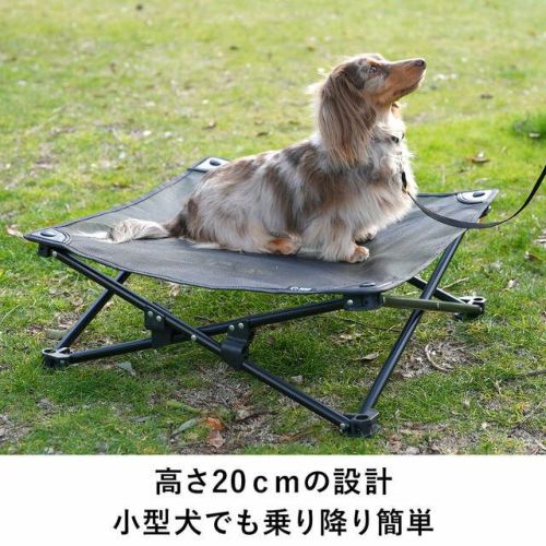 クイックキャンプ（QUICKCAMP） 犬用ベッド ドッグコット メッシュ