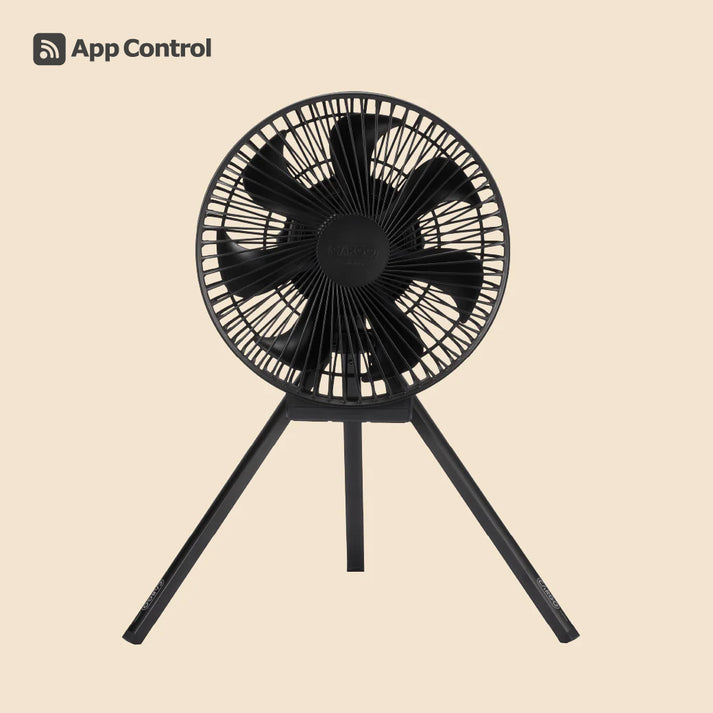 CARGO CONTAINER <br>DUAL FAN - L カーゴコンテナ