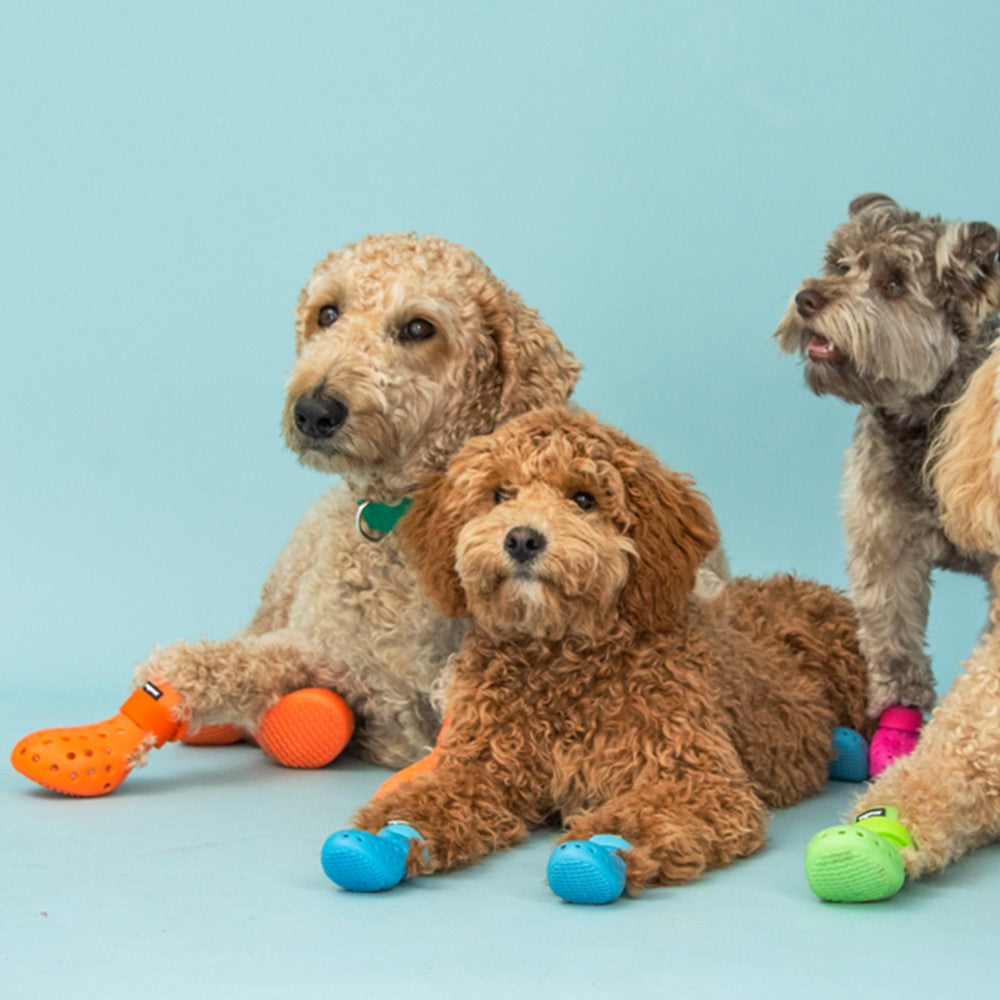 国内正規品】ワグウェア ワグウェリーズ モハベ 2足入 WAGWEAR