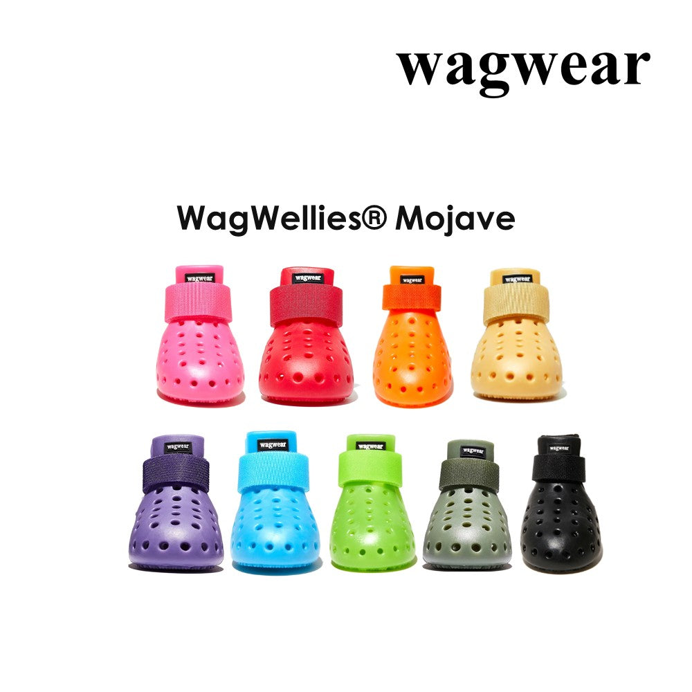 【国内正規品】ワグウェア ワグウェリーズ モハベ 2足入 WAGWEAR