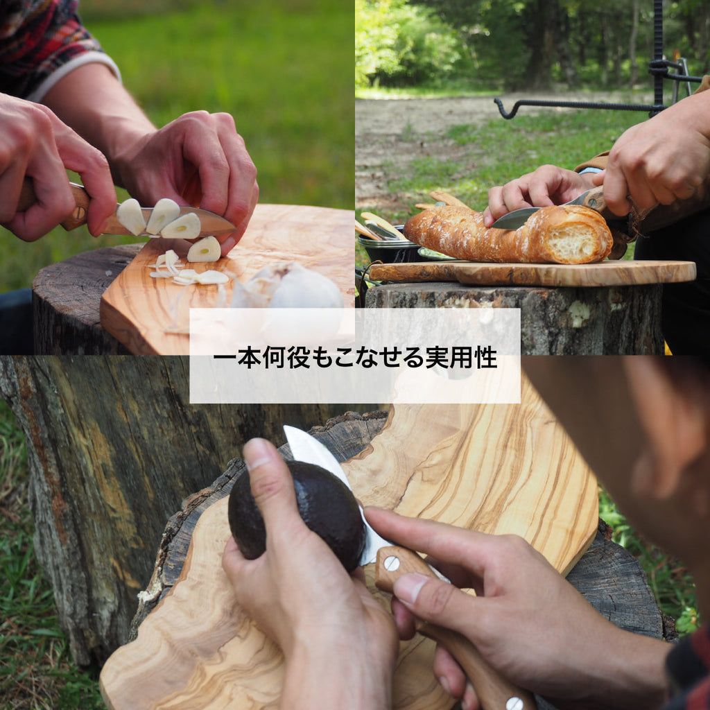 FEDECA 【積層材】折畳式料理ナイフ マルチカラー (ステンレス鋼/銀紙